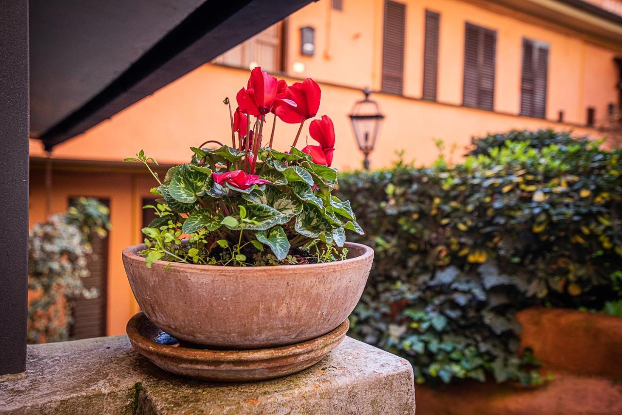Cosy Studio In The Greenest Corner Of Trastevere Rzym Zewnętrze zdjęcie